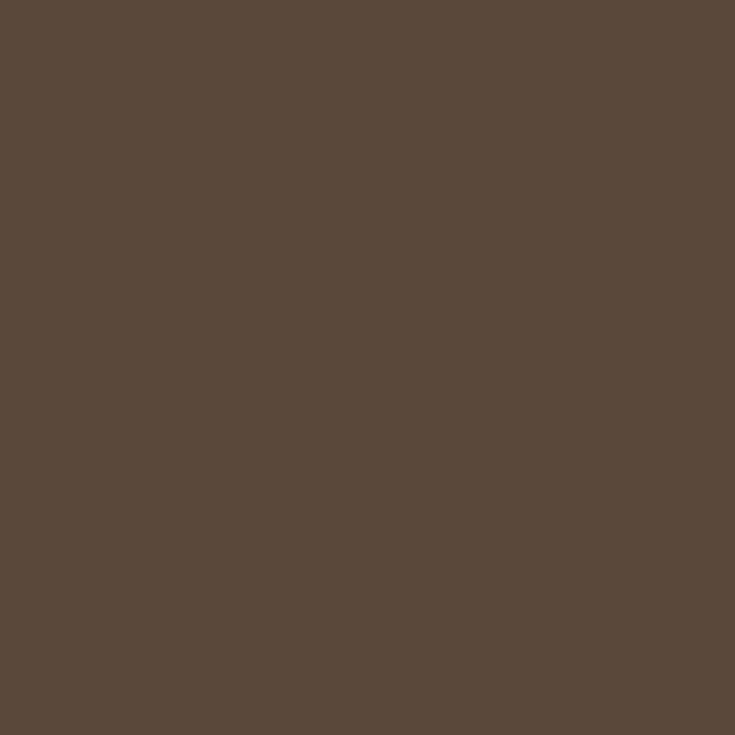 Rit DyeMore Synthetic Fiber Dye 7 oz - Chocolate Brown