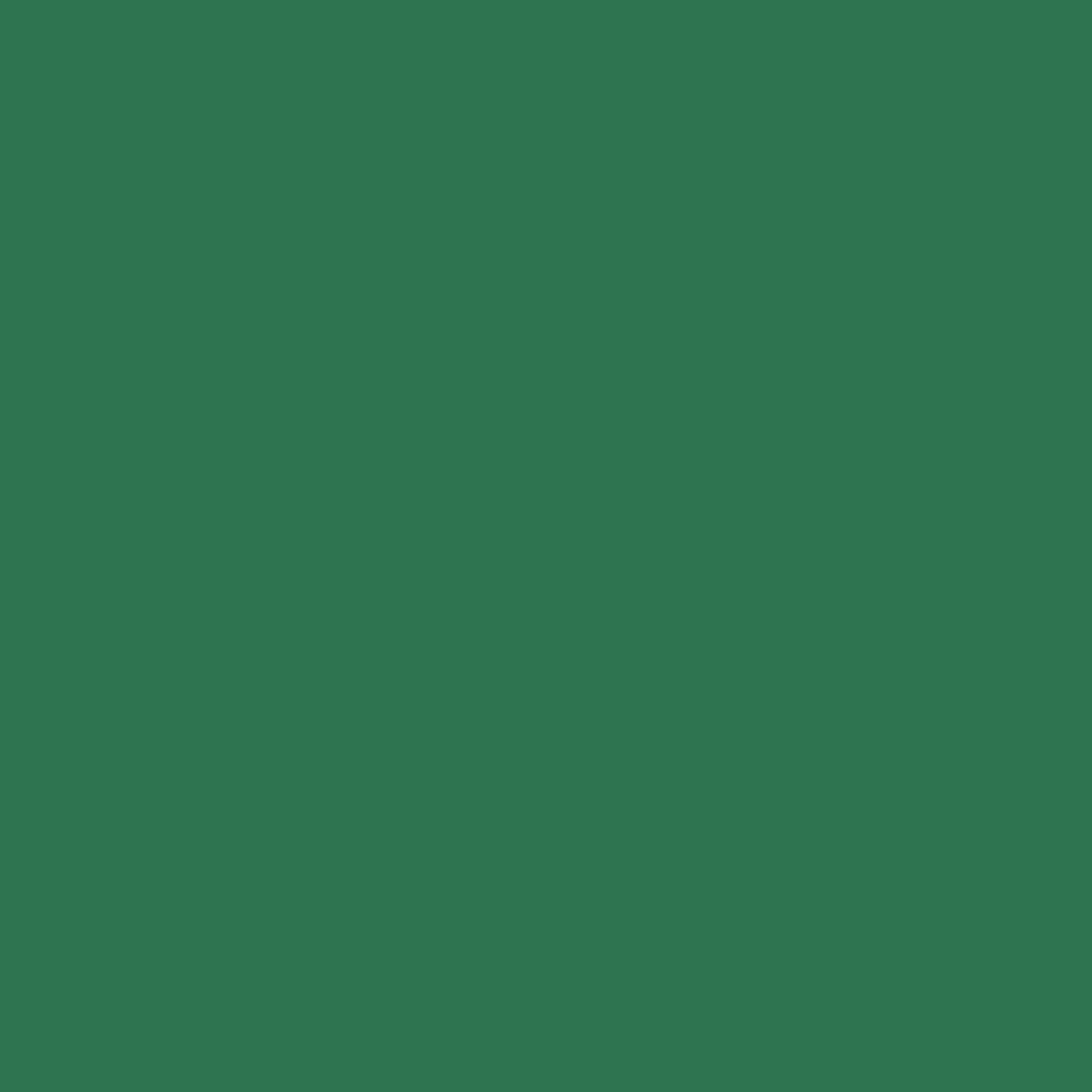 Rit DyeMore Synthetic Fiber Dye 7 oz - Peacock Green