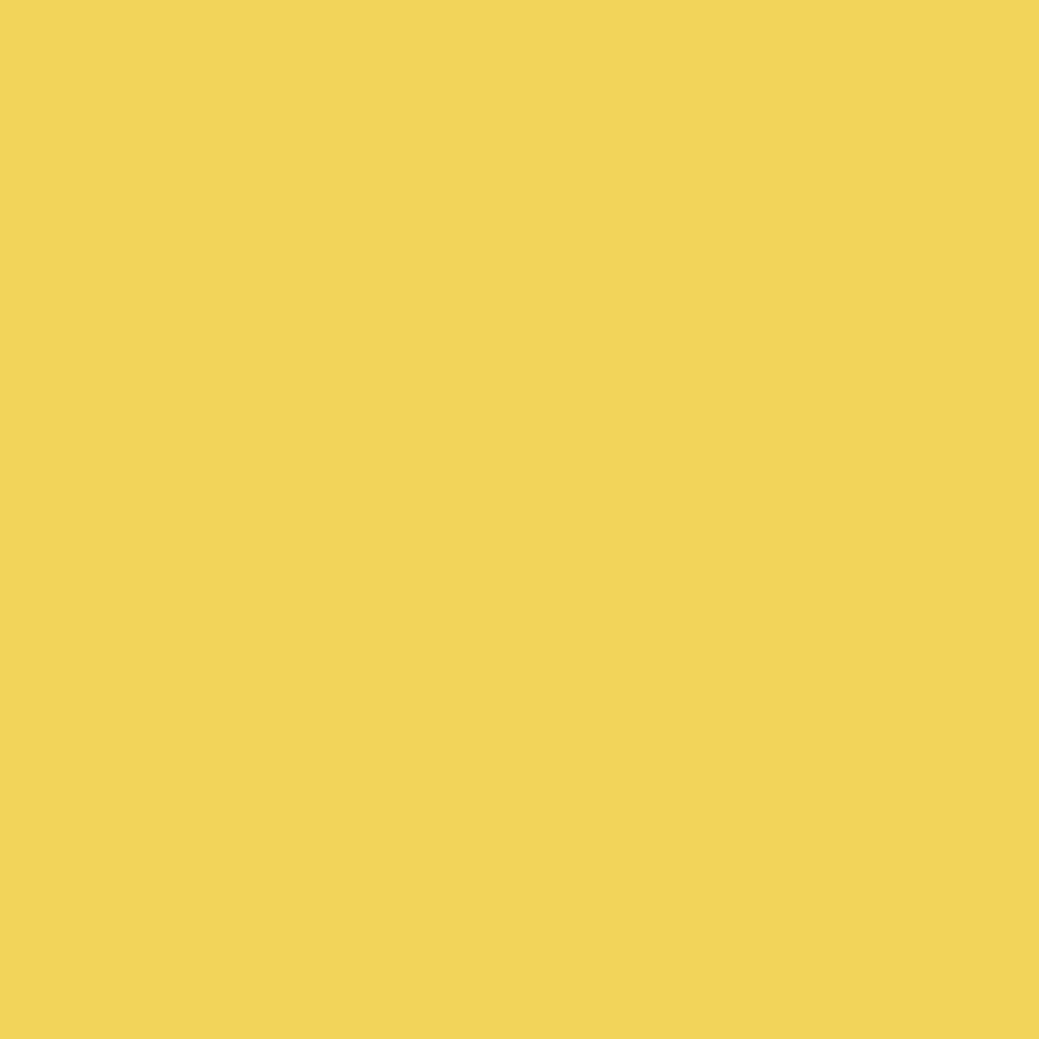 Rit DyeMore Synthetic Fiber Dye 7 oz - Daffodil Yellow