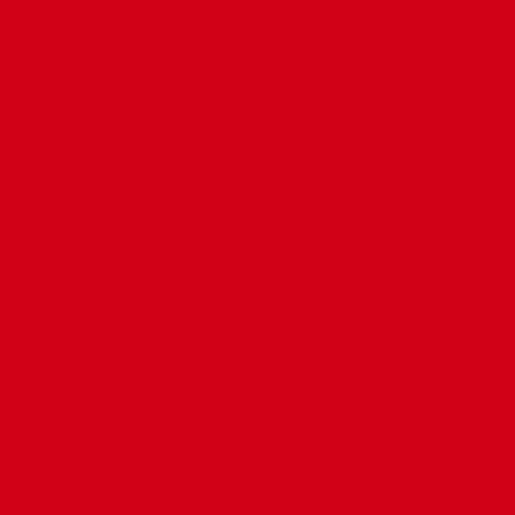 Rit All Purpose Powder Dye 1.125oz Scarlet