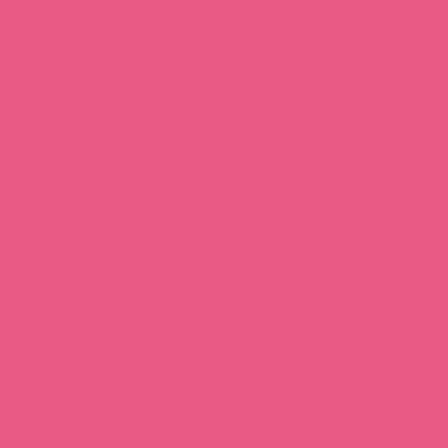 Rit All Purpose Powder Dye 1.125oz Fuchsia