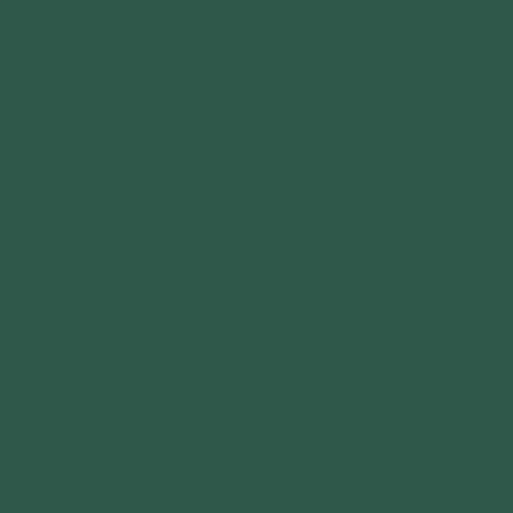 Rit All Purpose Powder Dye 1.125oz Dark Green