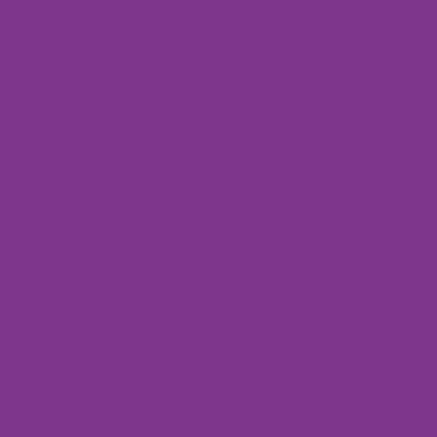 Rit All Purpose Liquid Dye 8oz Purple