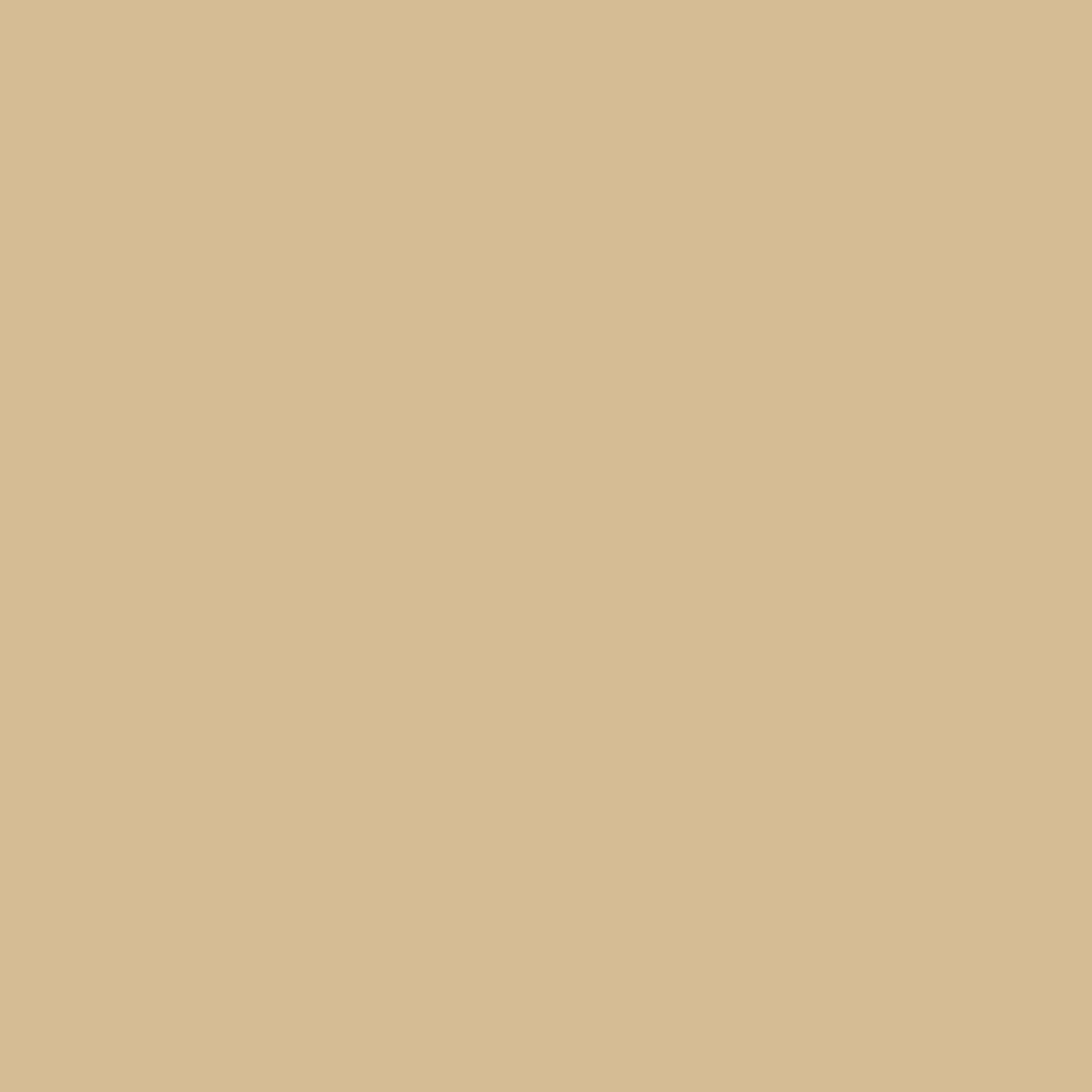 Rit All Purpose Liquid Dye 8oz Tan