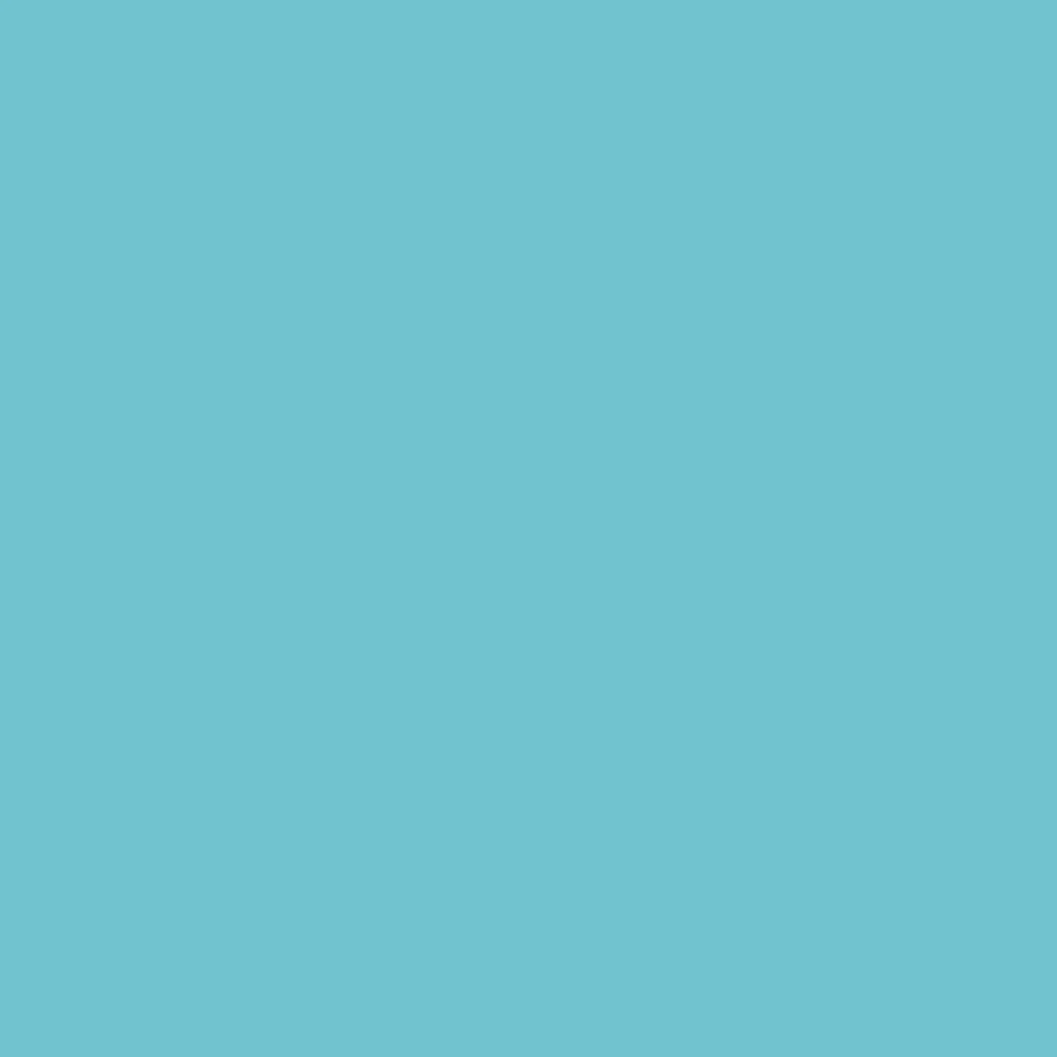 Rit All Purpose Liquid Dye 8oz Aquamarine