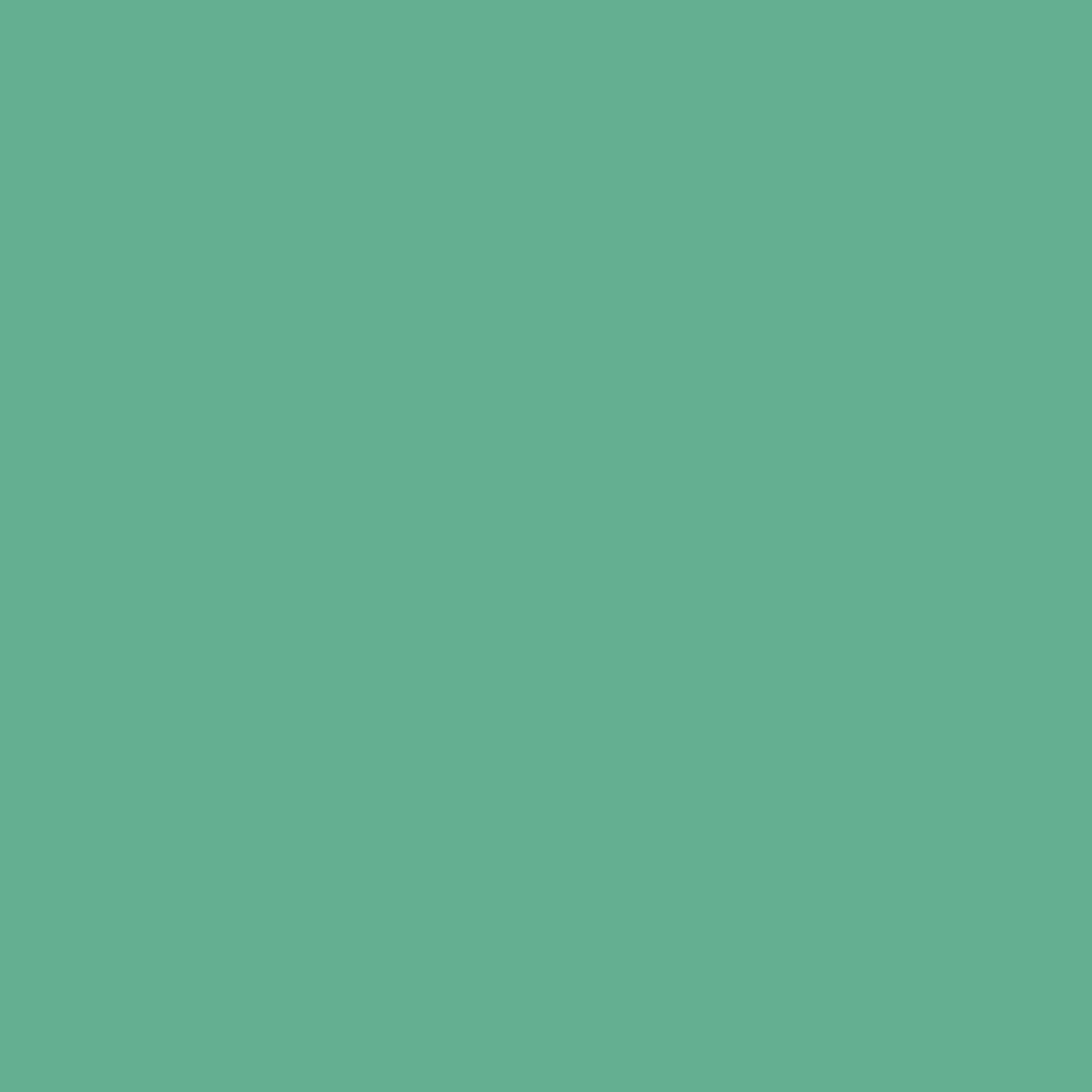 Rit All Purpose Liquid Dye 8oz Emerald