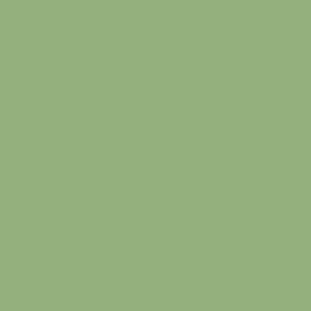 Rit All Purpose Liquid Dye 8oz Kelly Green