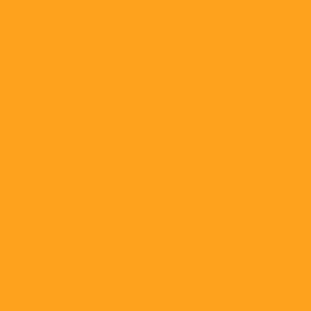 Rit All Purpose Liquid Dye 8oz Sunshine Orange