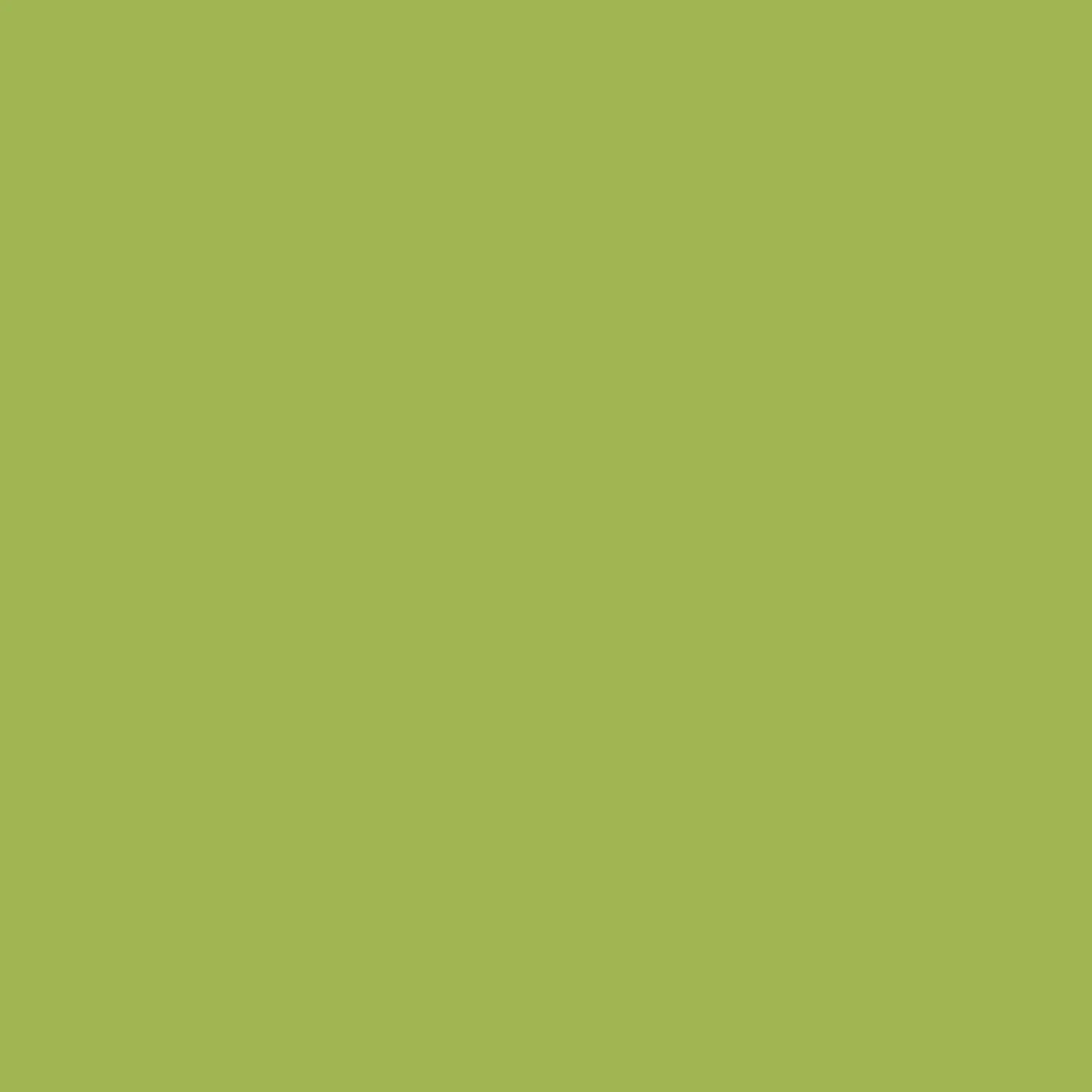 Rit All Purpose Liquid Dye 8oz Apple Green