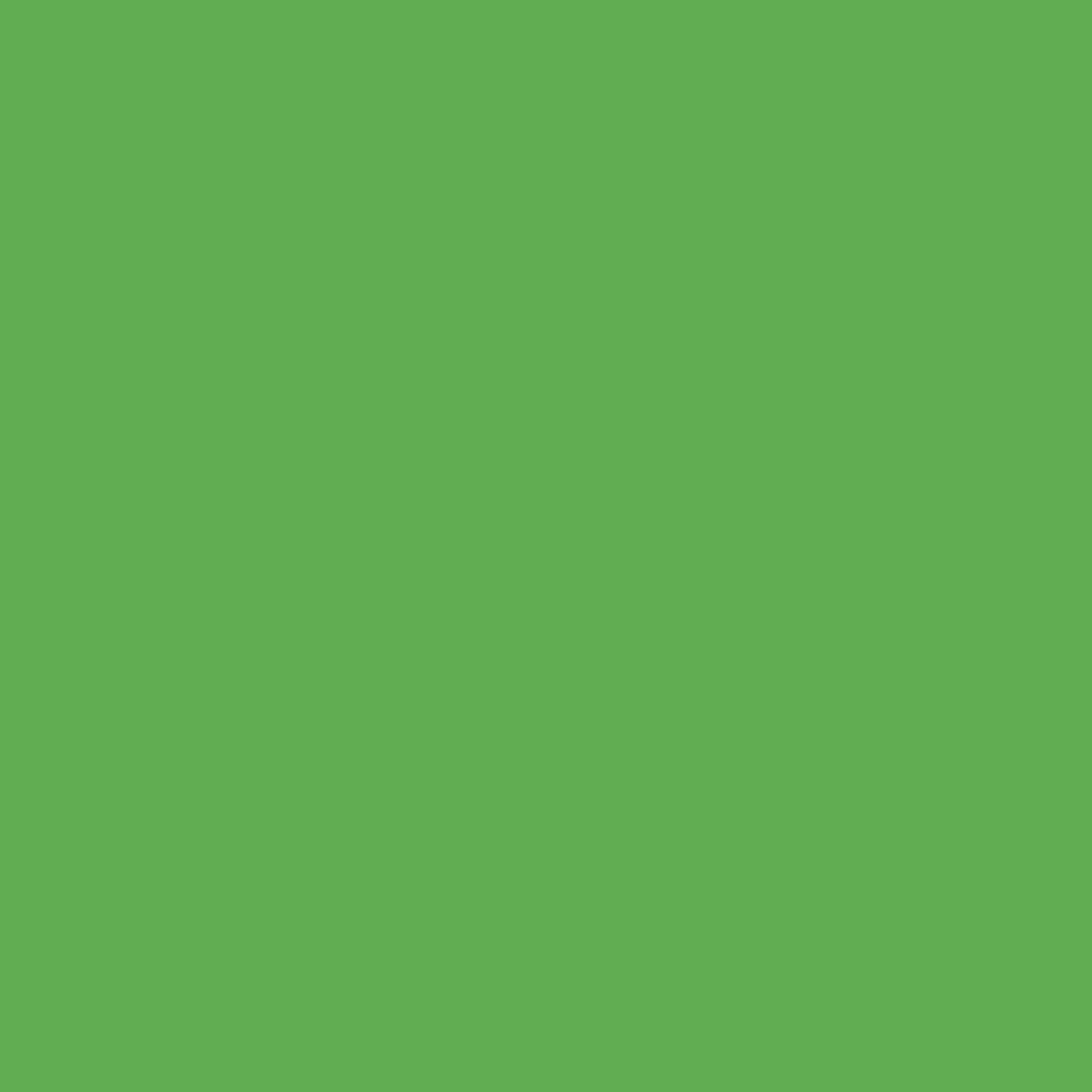 Rit All Purpose Liquid Dye 8oz Truly Green
