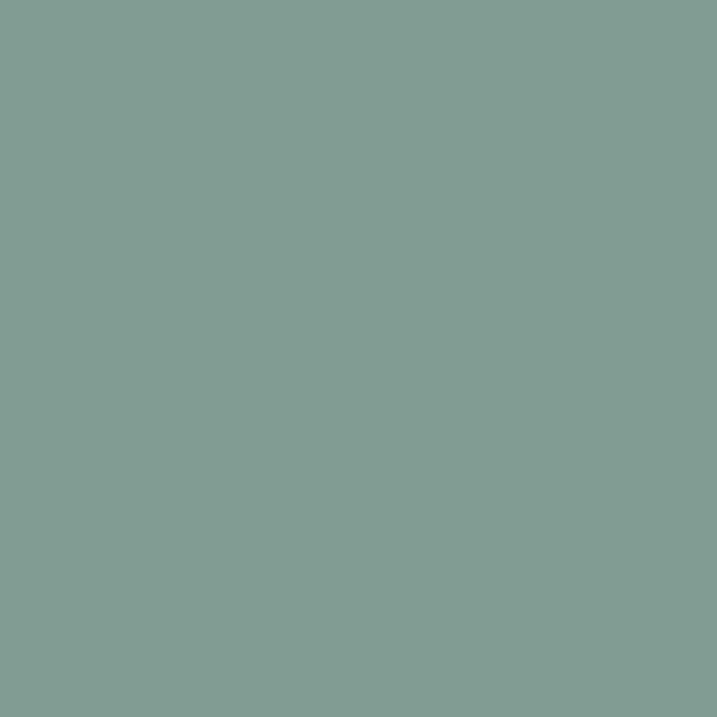 Rit All Purpose Liquid Dye 8oz Sage