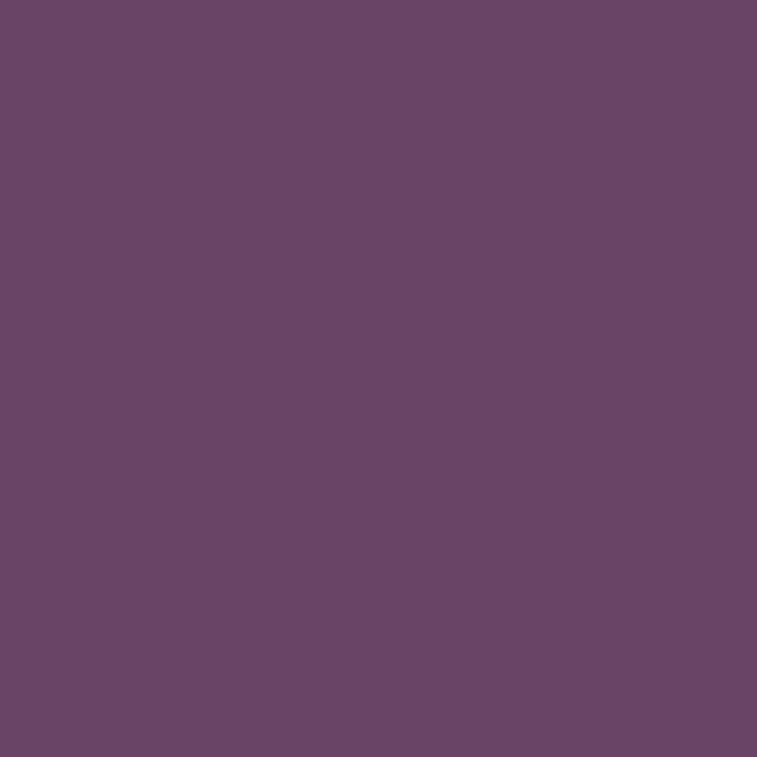 Rit All Purpose Liquid Dye 8oz Eggplant